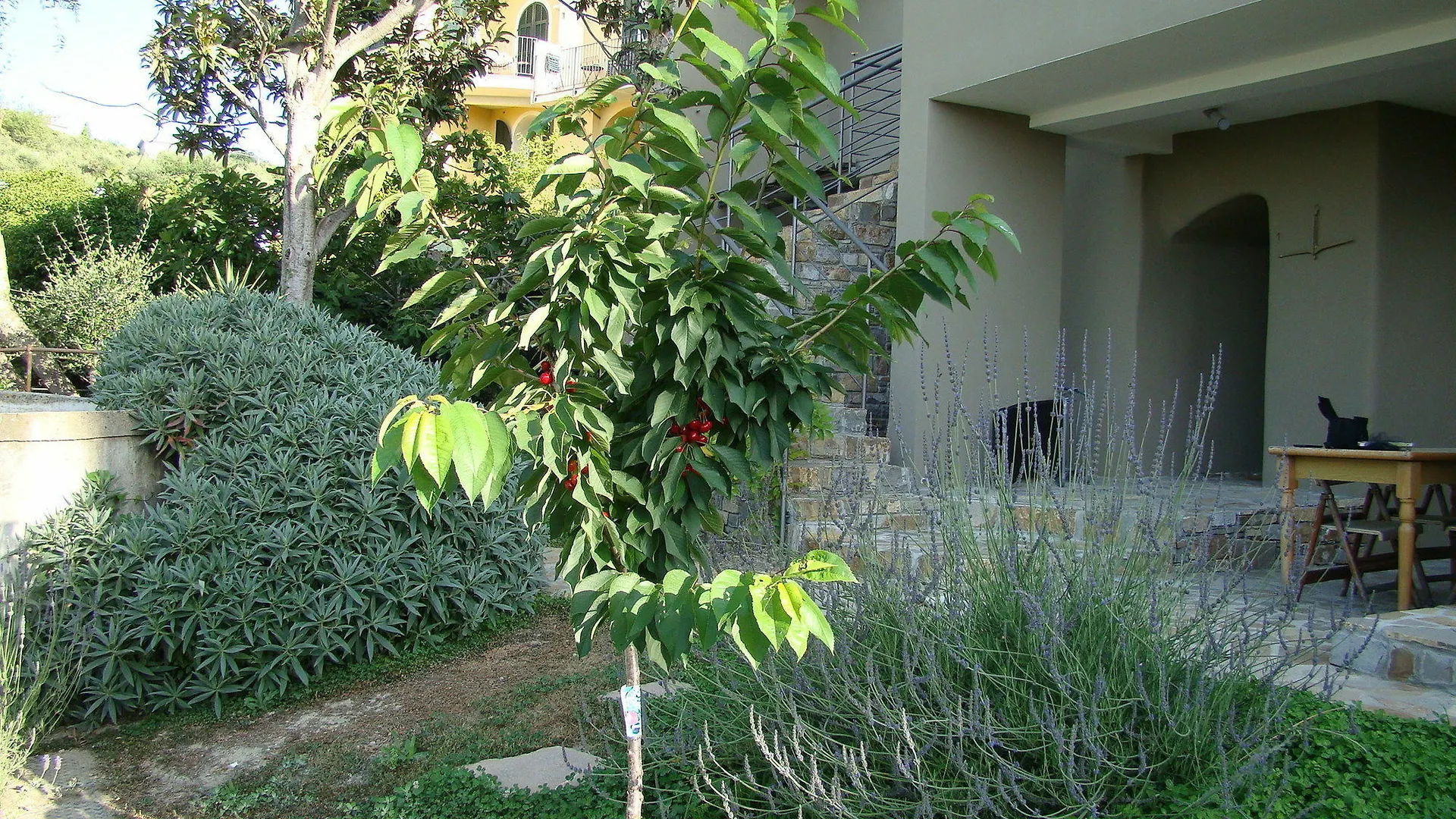 Apartments I Valloni Imperia